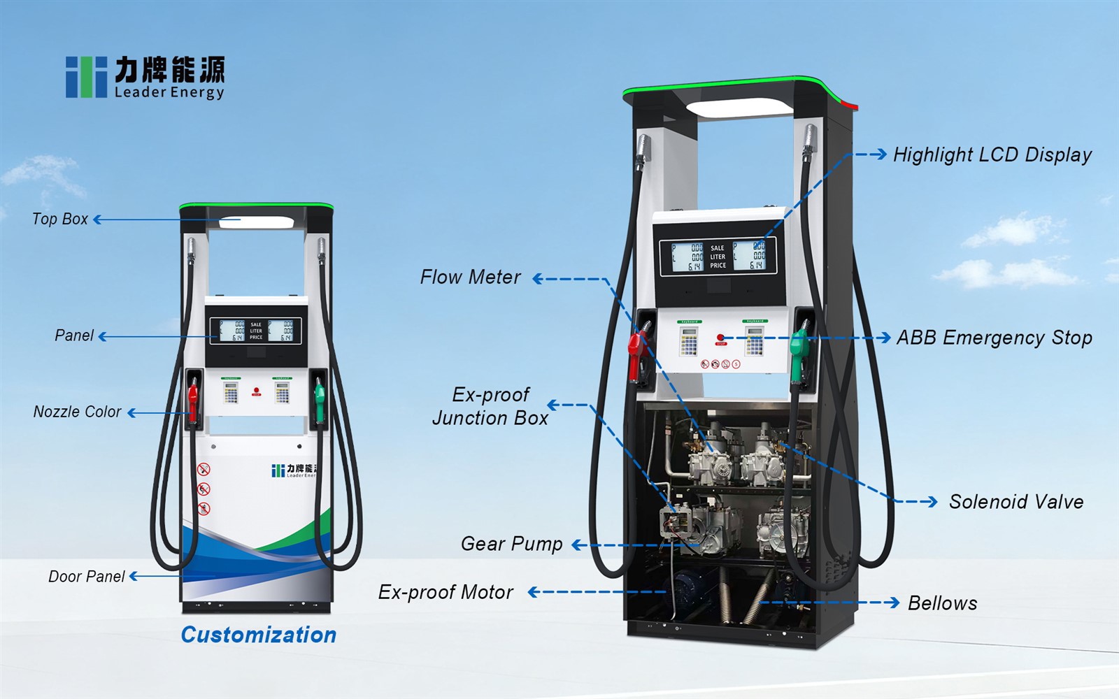 digital fuel pump 2